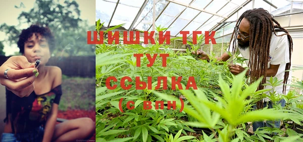 2c-b Горняк