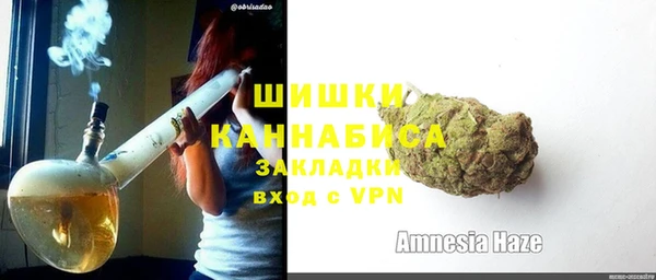 2c-b Горняк