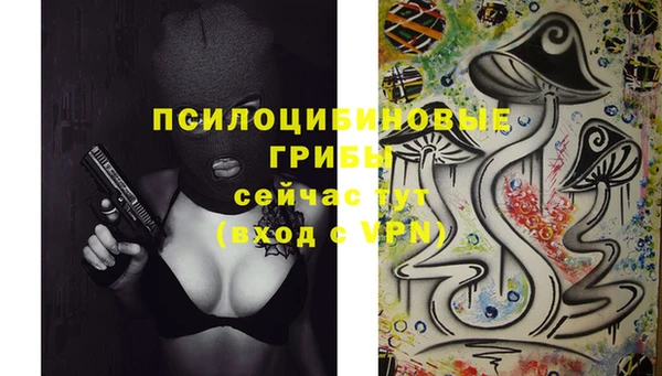 2c-b Горняк